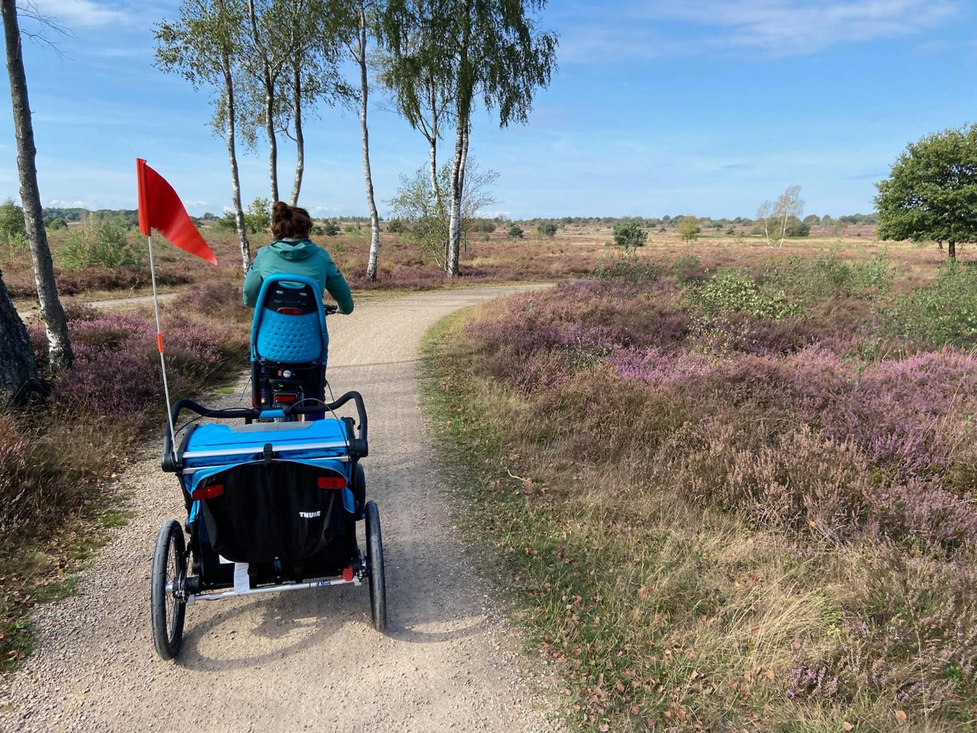 Vakantiehuis Vliegend Hert Veluwe Nunspeet Exterior foto